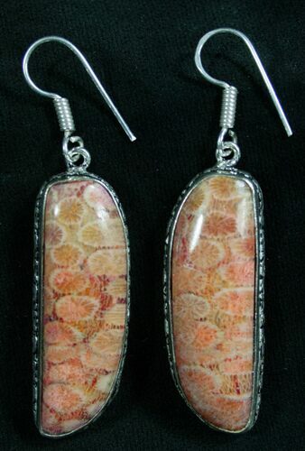 Red Fossil Coral Sunburst Earrings #8254